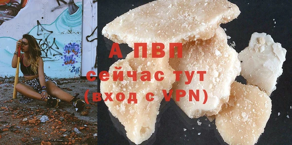 гидра Белокуриха