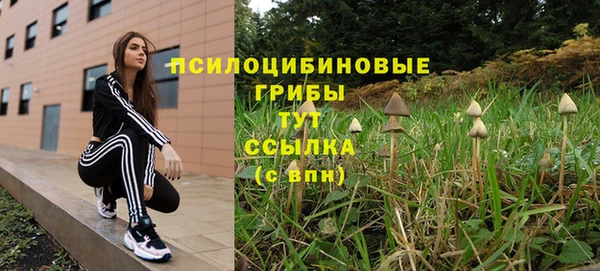 гидра Белокуриха