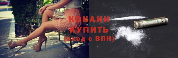 гидра Белокуриха