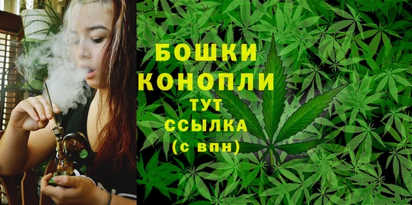 крисы Беломорск