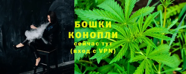 индика Балабаново