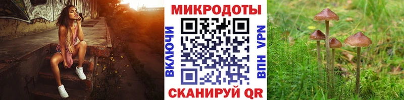 mega ТОР Нововоронеж Галлюциногенные грибы MAGIC MUSHROOMS